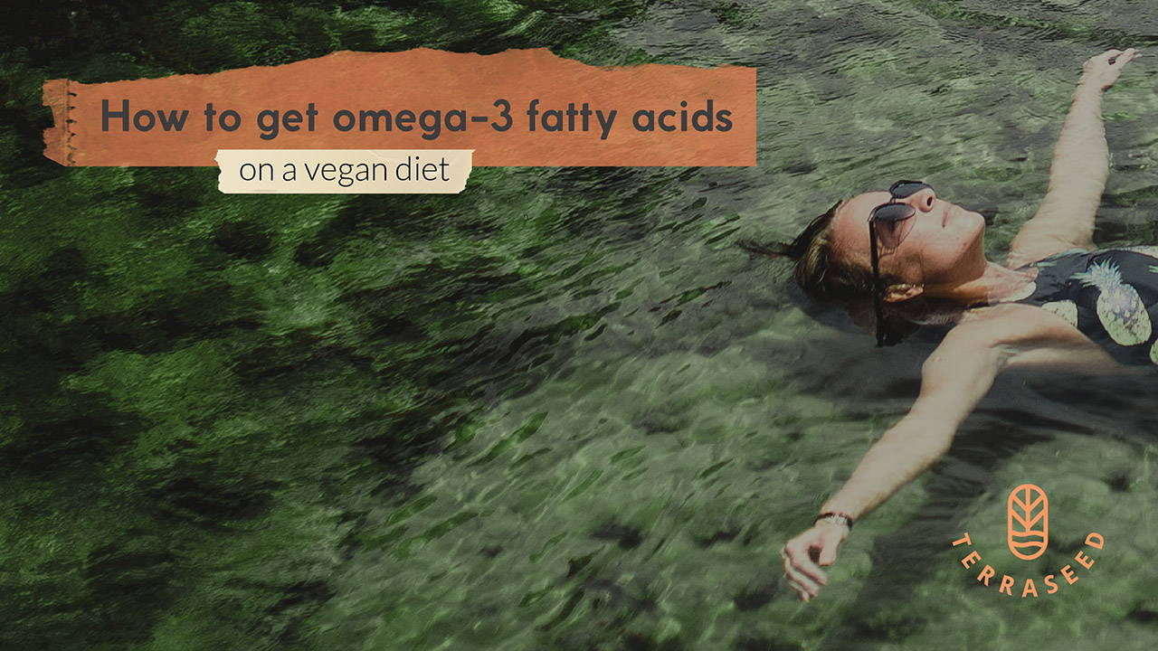 Be Vegan, Be Healthy 19 How to get omega3 fatty acids on a vegan d